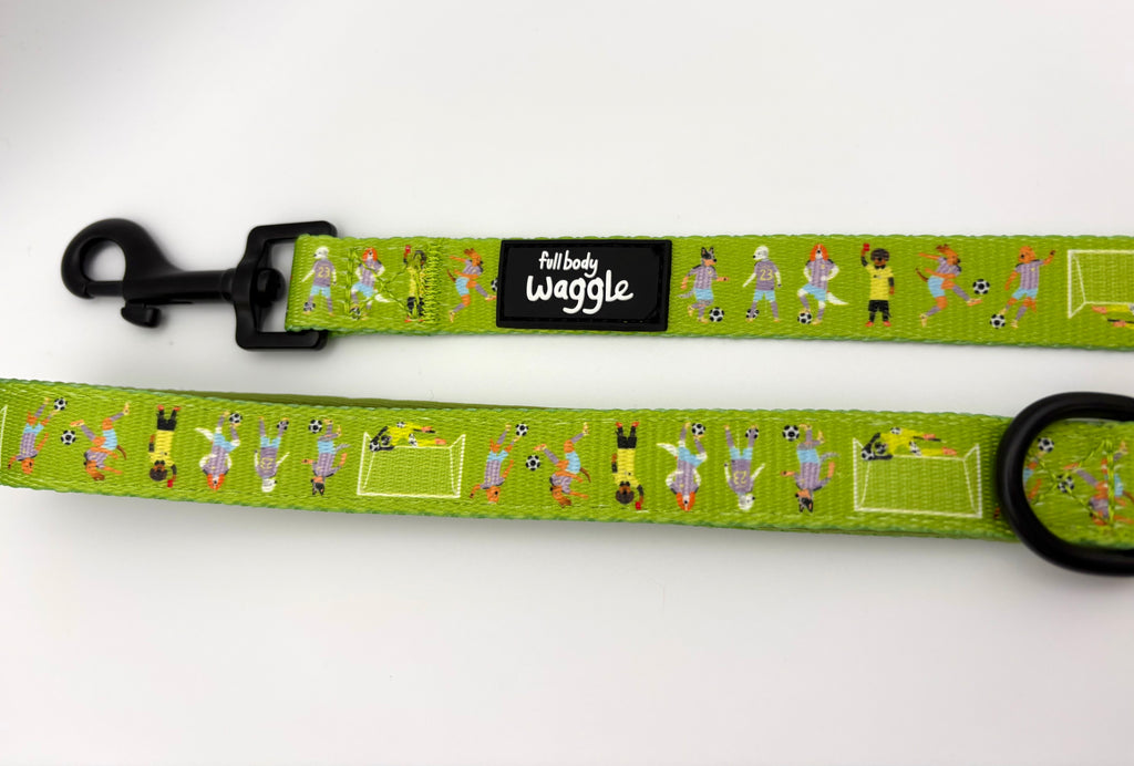 Football Pups  - Lead