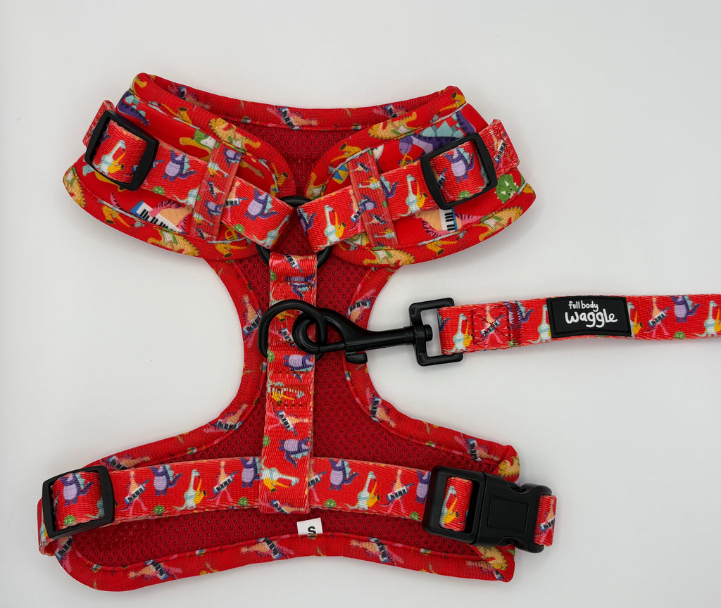 Rockasaurus- Adjustable harness and lead
