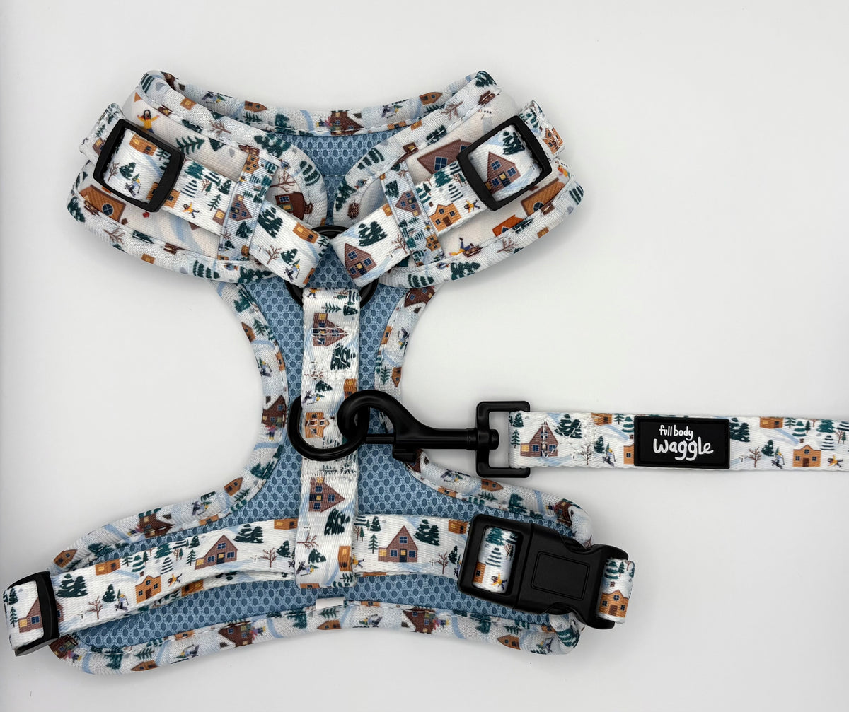 Winter Pups - Adjustable harness and lead