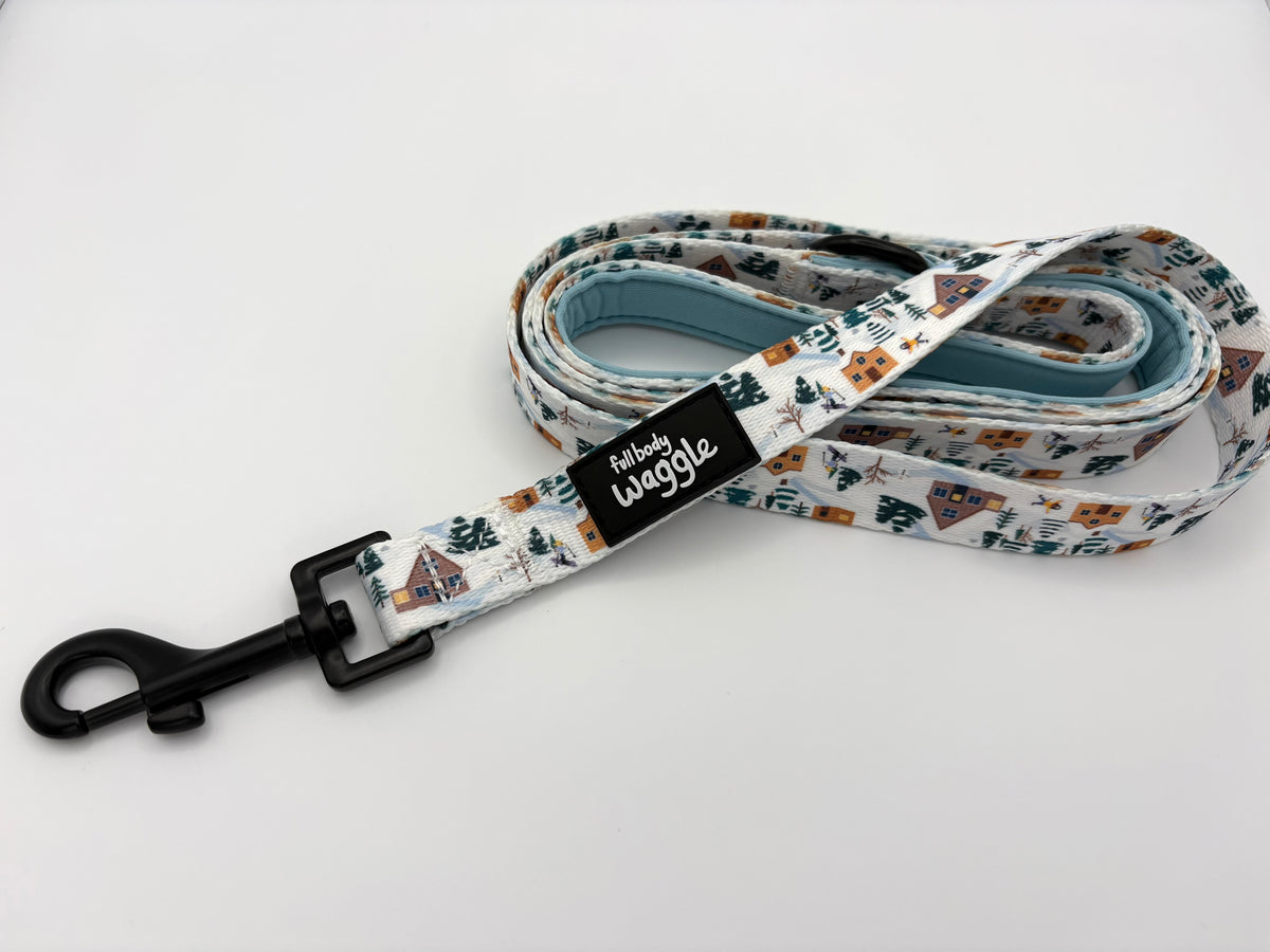 Winter Pups  - Lead