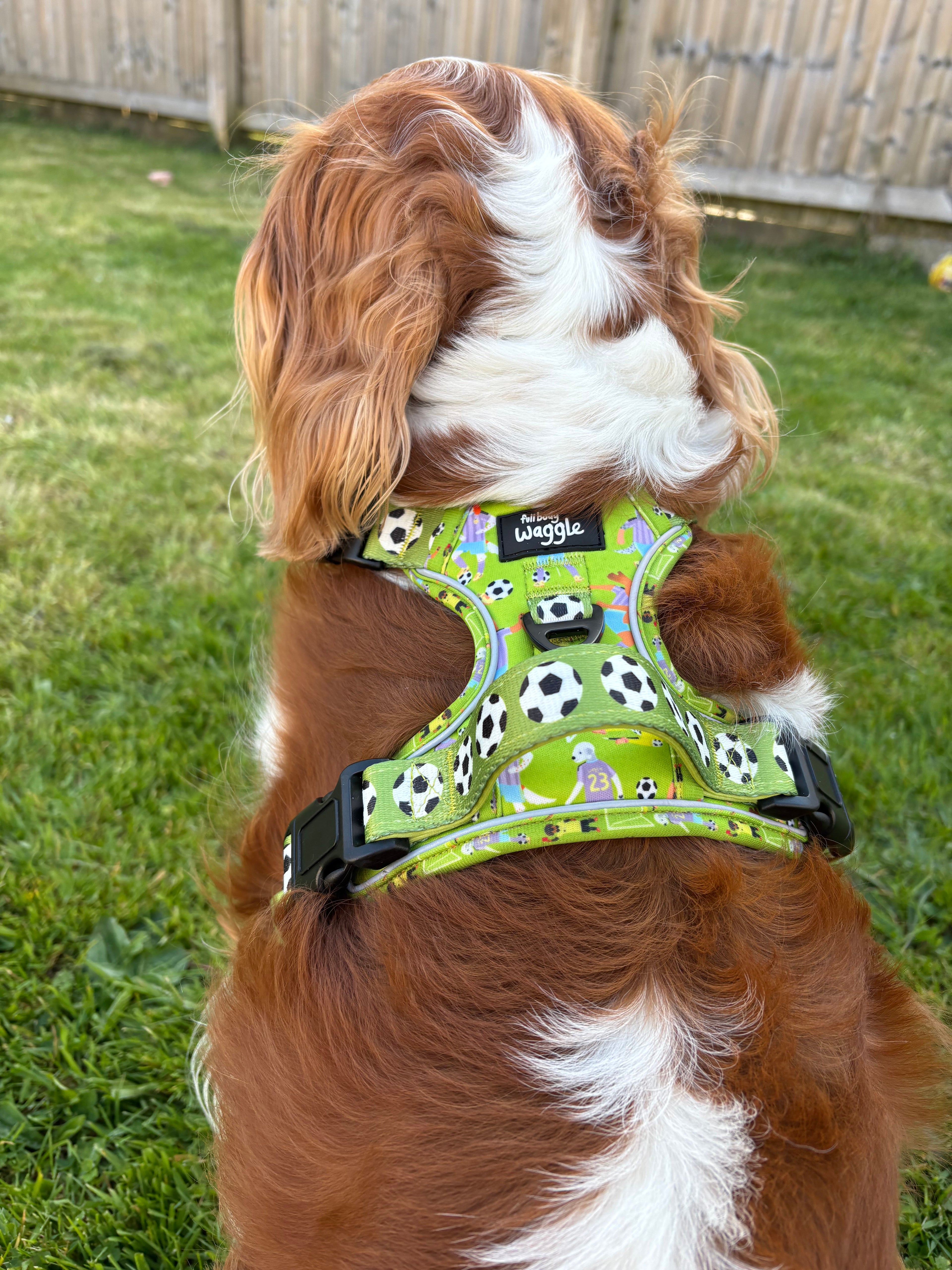 Football Pups - Adjustable Tough-Style Harness