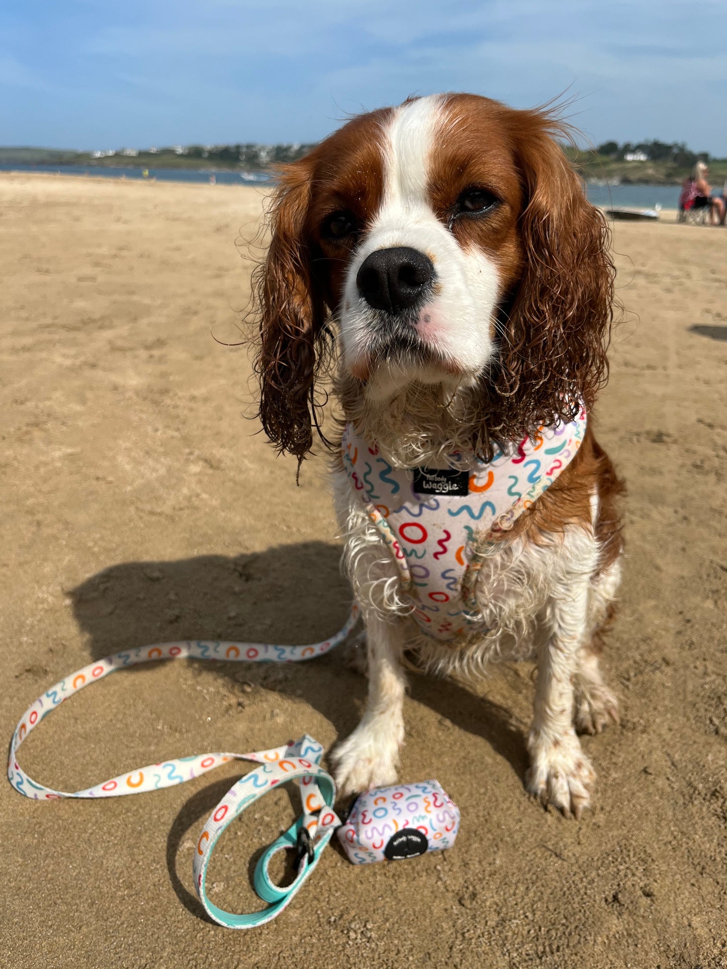 Wags and Wiggles - Adjustable harness and lead