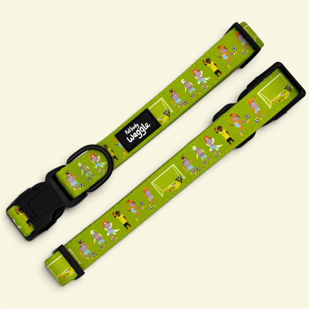 Football Pups - Collar