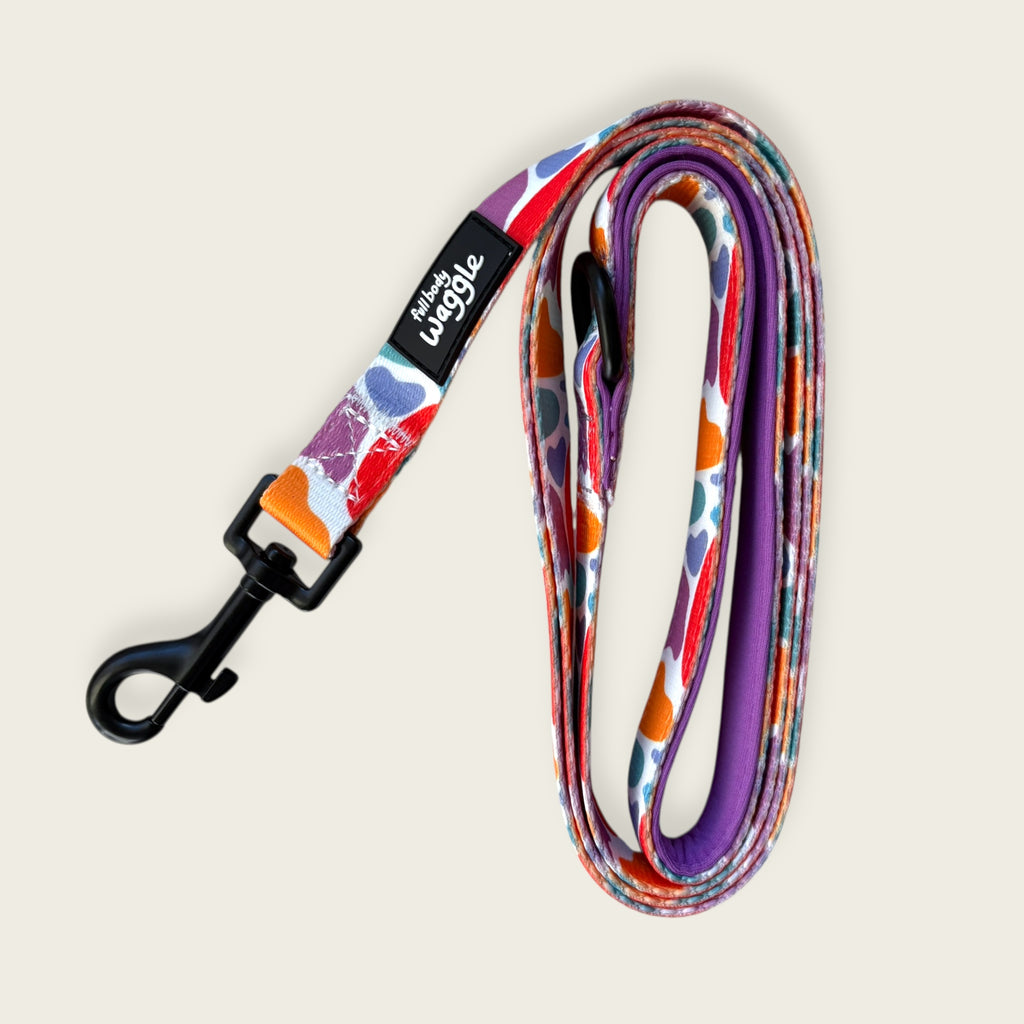 On the Bright Side - Adjustable harness and lead