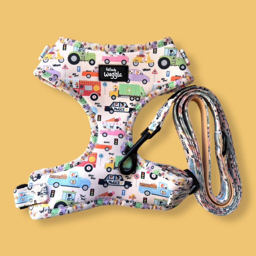 Dogs on the Road - Adjustable harness and lead