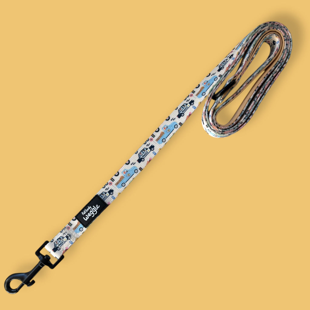 Dogs on the Road  - Lead