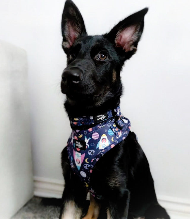 Space Pups - Adjustable Harness