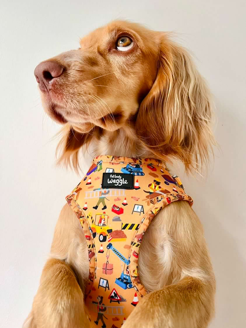 Dogs at Work - Full harness set